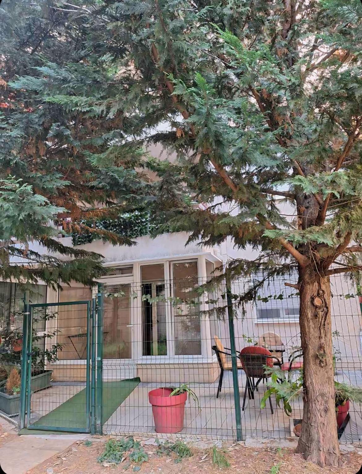 Apartments Vanja Budva Bagian luar foto